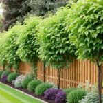 10-Creative-Backyard-Landscaping-Ideas-to-Transform-Your-Outdoor-Space.jpg