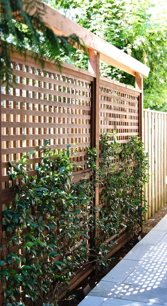 Creative Backyard Privacy Ideas for a
Peaceful Outdoor Oasis