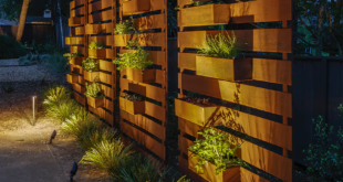 backyard privacy ideas