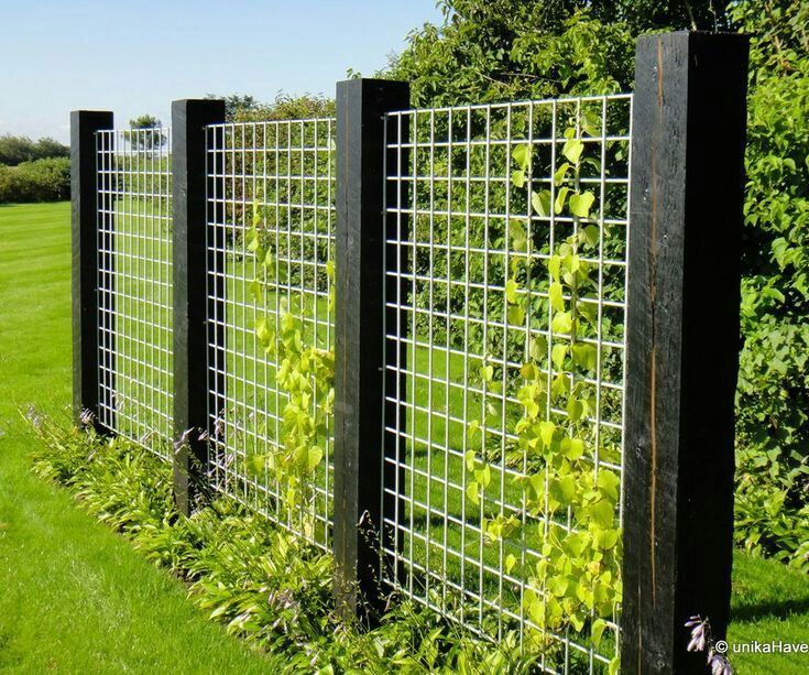 Creative Ideas for Backyard Fence Line
Design