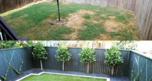 simple backyard ideas