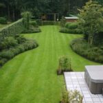 backyard design ideas layout