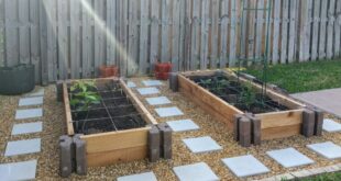 backyard garden ideas