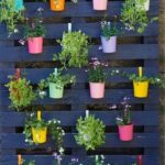 backyard garden ideas