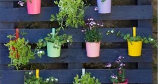 backyard garden ideas