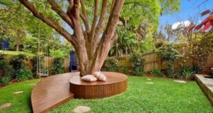 backyard design around tree