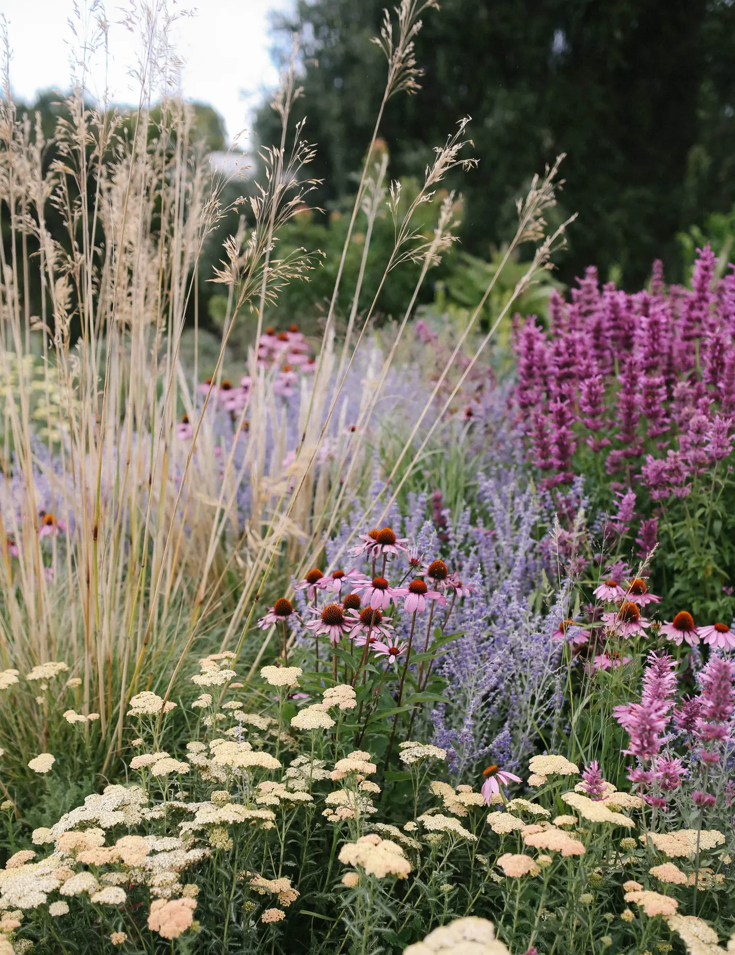 Stunning Backyard Flower Garden Designs
to Transform Your Outdoor Space