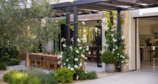 backyard design pergola