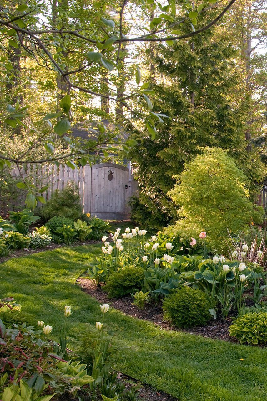 Tips for Creating a Beautiful and
Productive Backyard Garden