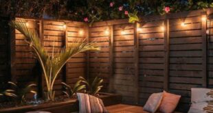 backyard design ideas