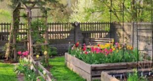 backyard garden ideas