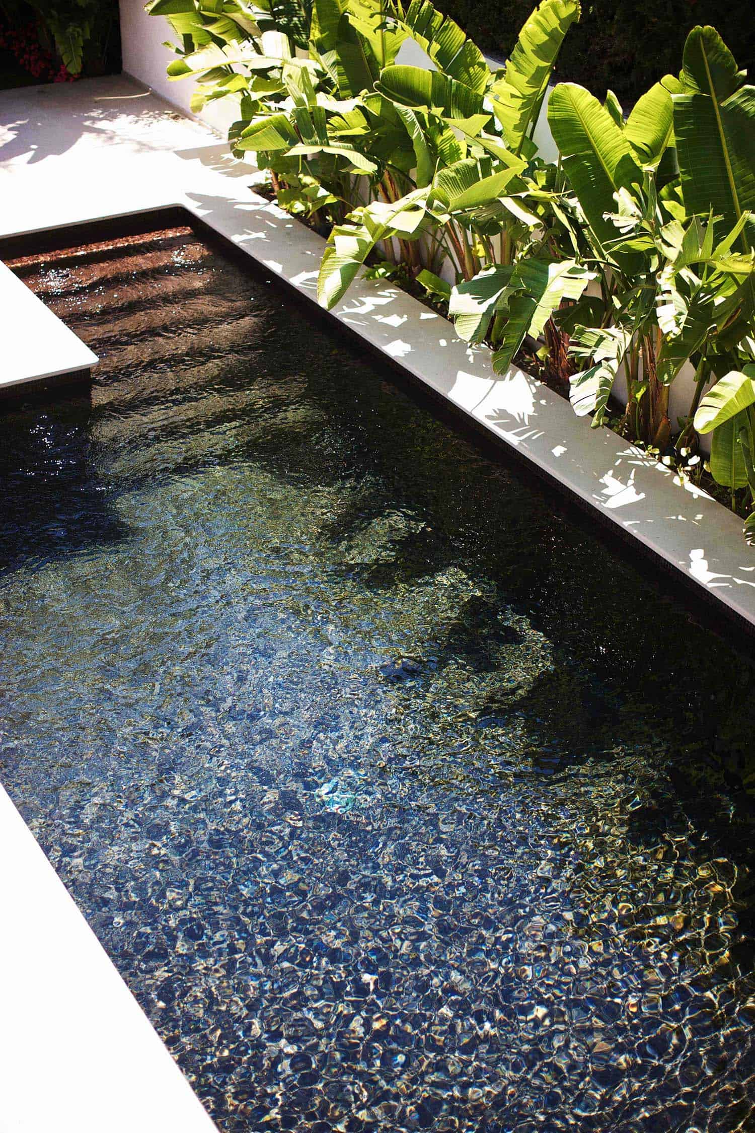 Making a Splash: The Benefits of Small
Backyard Pools