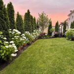 backyard landscaping