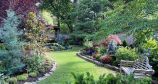 large backyard landscaping