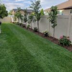 backyard landscaping