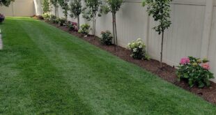 backyard landscaping