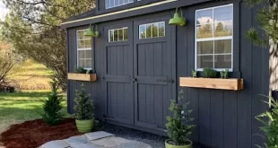 backyard design with shed