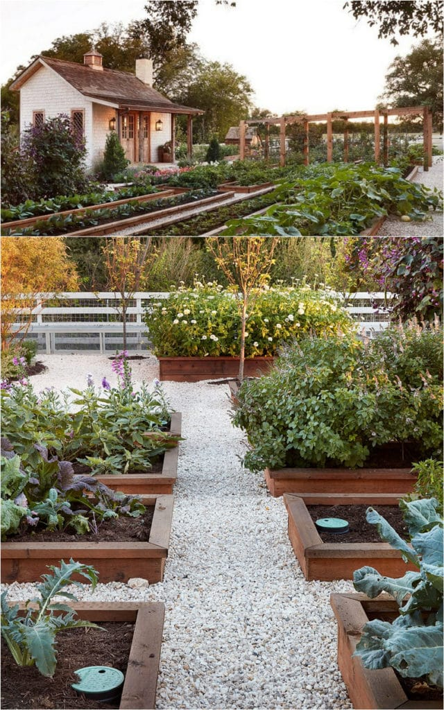 Transform Your Outdoor Space: The
Ultimate Guide to Backyard Design with a Stunning Vegetable Garden