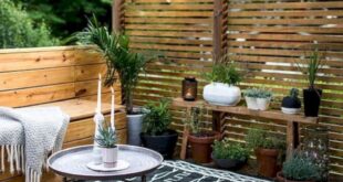 backyard designs on a budget