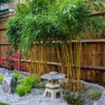 japanese backyard garden design