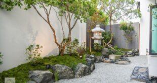 zen garden backyard design