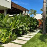 tropical landscape design backyard