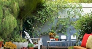 backyard design ideas budget