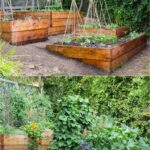 backyard design with vegetable garden