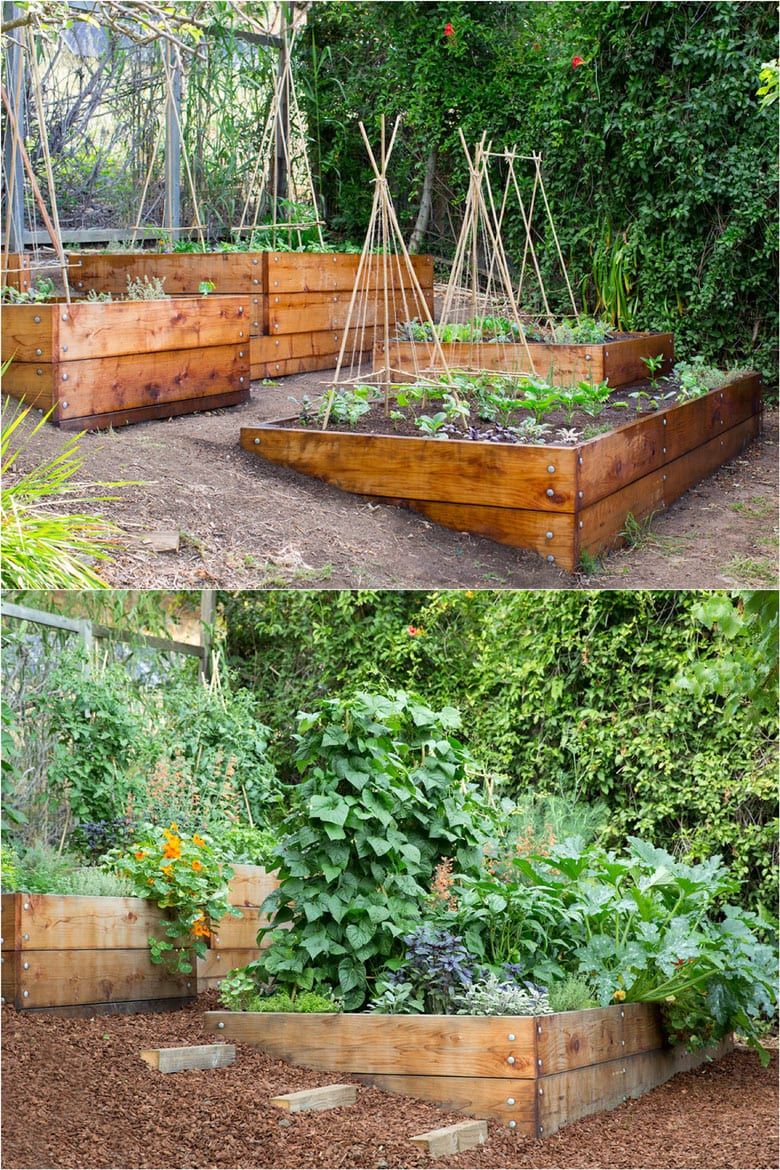 Transform Your Backyard with a Beautiful
Vegetable Garden Design