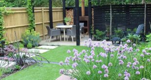 backyard design small