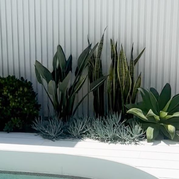 Transform Your Outdoor Space with
Stunning Tropical Landscape Design for Your Backyard