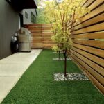 backyard design narrow