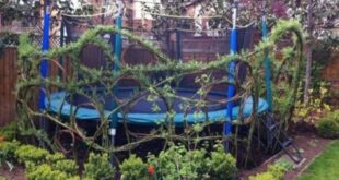 backyard design trampoline