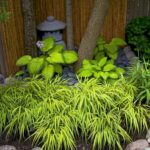 japanese backyard garden design