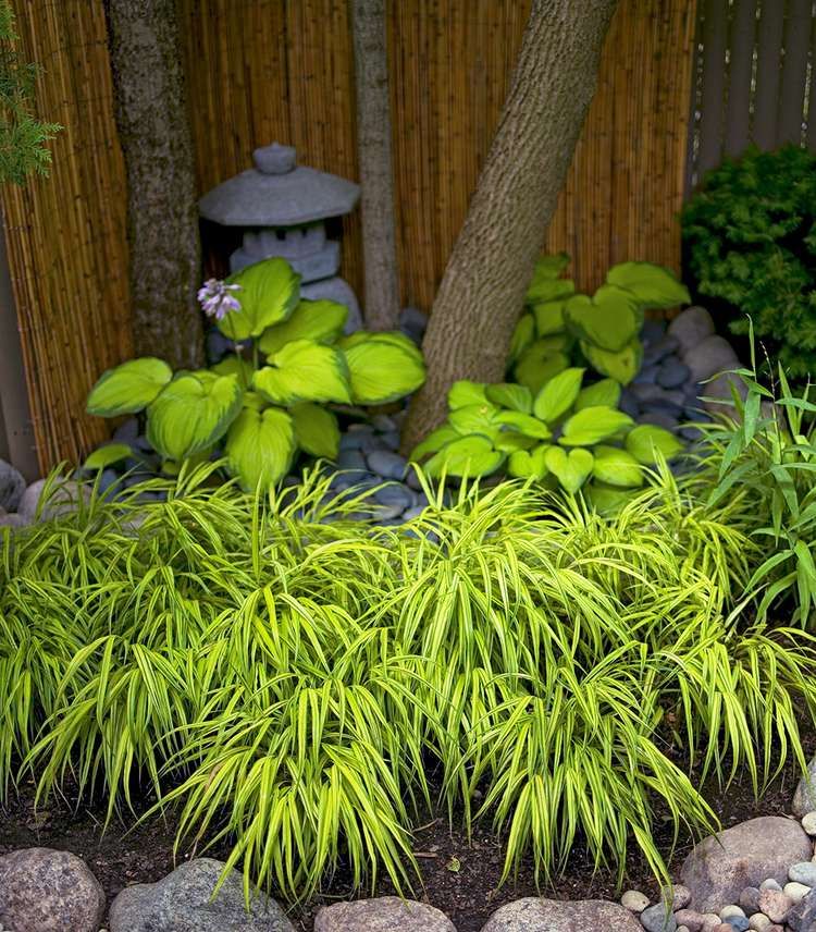 The Tranquil Beauty of Japanese Backyard
Garden Design