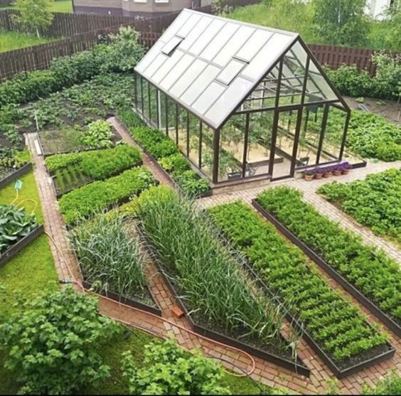 Transform Your Backyard with a Beautiful
Vegetable Garden Design