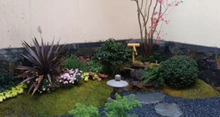 backyard design japan