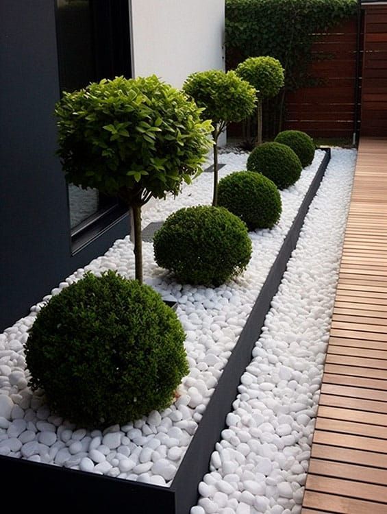 5 Easy Tips for Sprucing Up Your Backyard
with Simple Landscaping Ideas