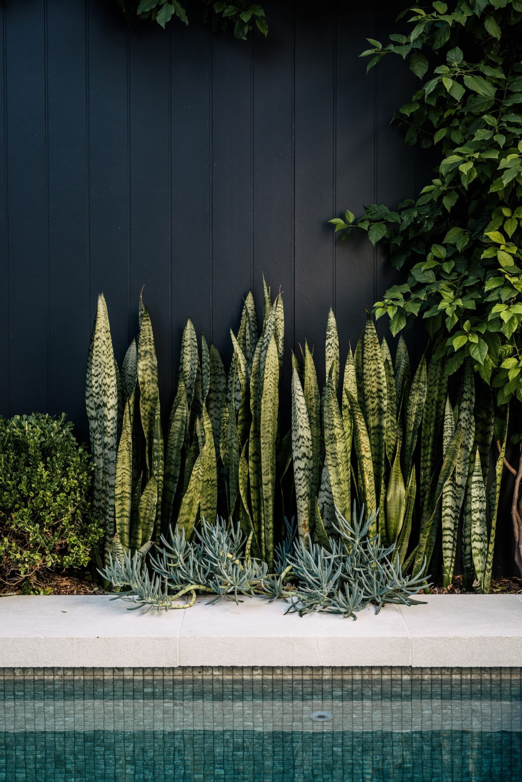 5 Easy and Affordable Ideas for Beautiful
Backyard Landscaping