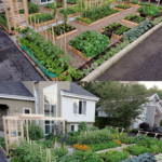 5-Tips-for-Creating-a-Stunning-Backyard-Garden.png