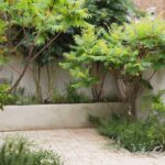 urban backyard design inspiration