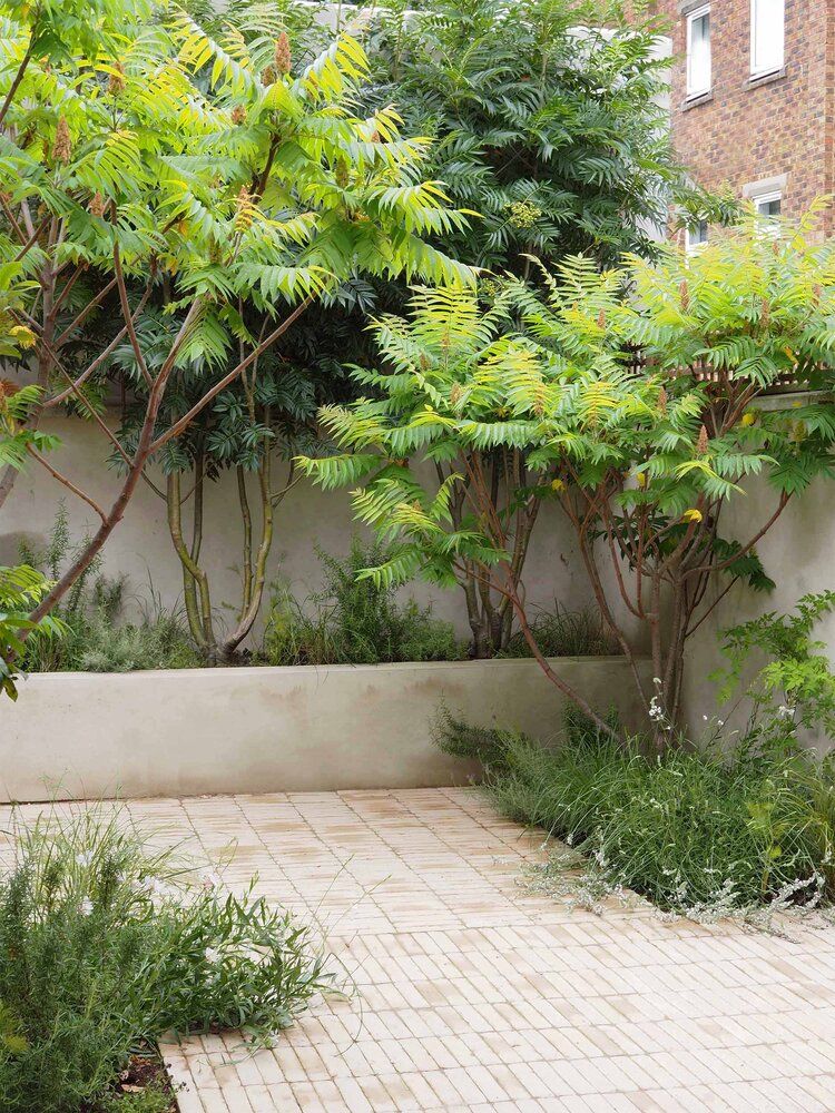 9 Stunning Urban Backyard Design Ideas to
Transform Your Outdoor Space