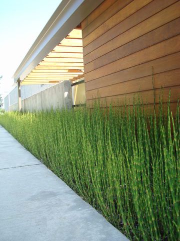 Bamboo Bliss: Transform Your Backyard
with Exotic Bamboo Design