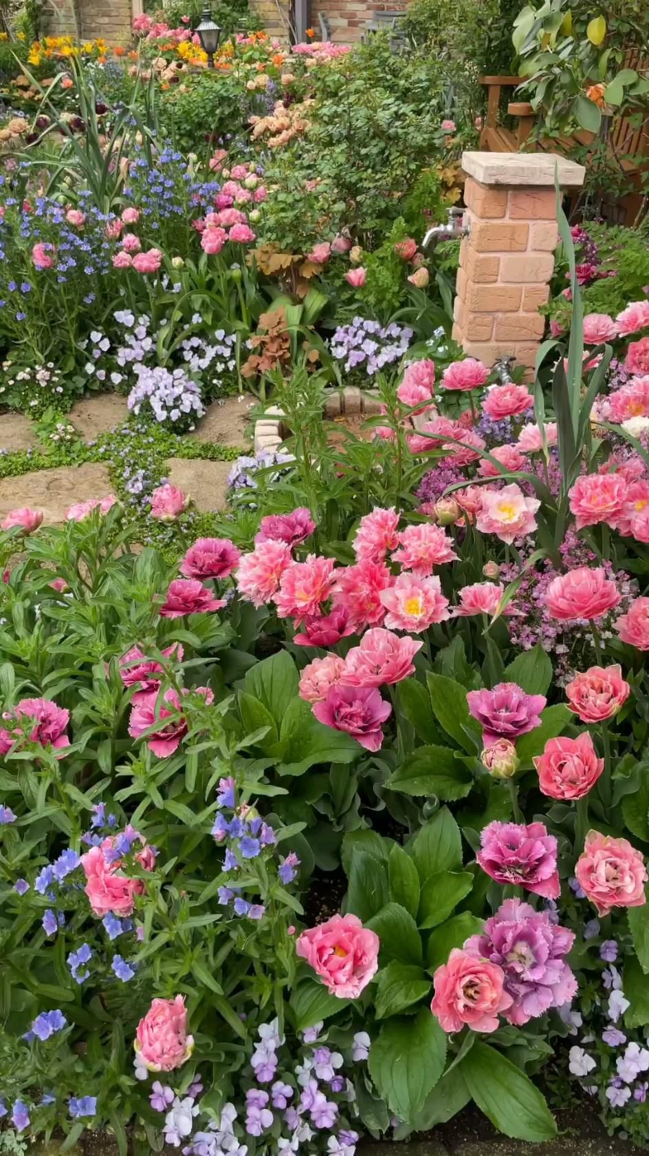 Blooming Beauty: How to Create a Stunning
Flower Garden in Your Backyard