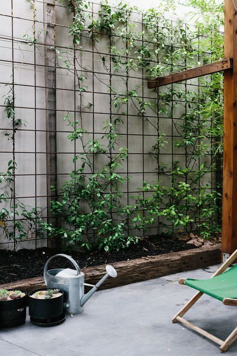 Budget-Friendly Backyard Design: Tips for
Creating a Stylish Outdoor Space Without Breaking the Bank