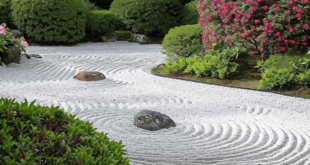 zen garden backyard design