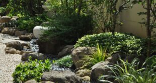 zen garden backyard design