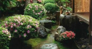 backyard design japanese