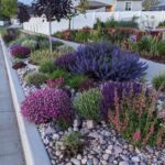 how to design a backyard landscape