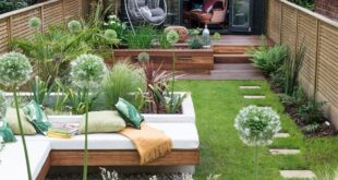 backyard design on a budget